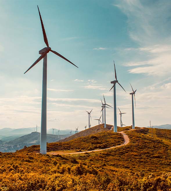 Grant Thornton e TCI Energy S.R.L annunciano la nascita di Aurora CER