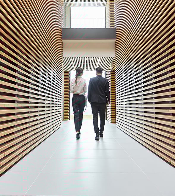 Optimism of global businesses at its highest level since the beginning of 2024
