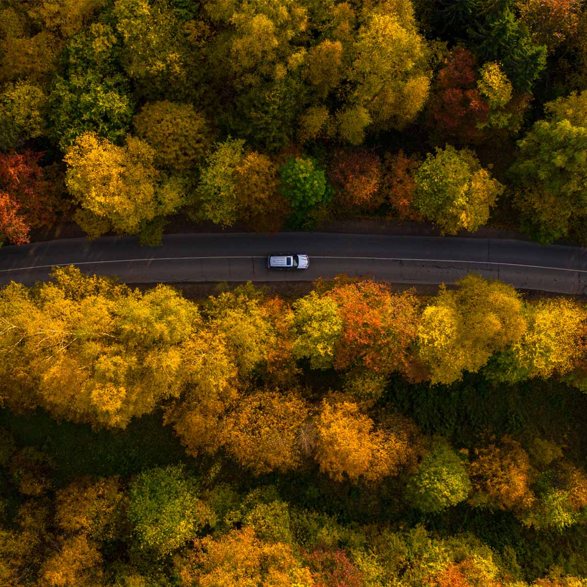 Norme e Benefit: il punto sulle auto aziendali